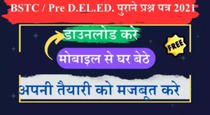 Rajasthan Pre D.EL.ED.(BSTC) 2021 Question Paper Download